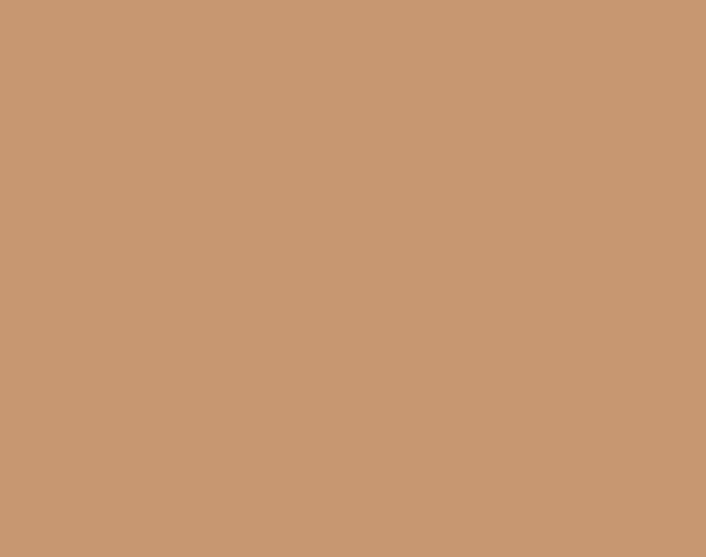 Kelley Baker Brows Tinted Brow Gel